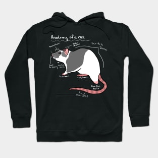 Anatomy of a rat Hoodie